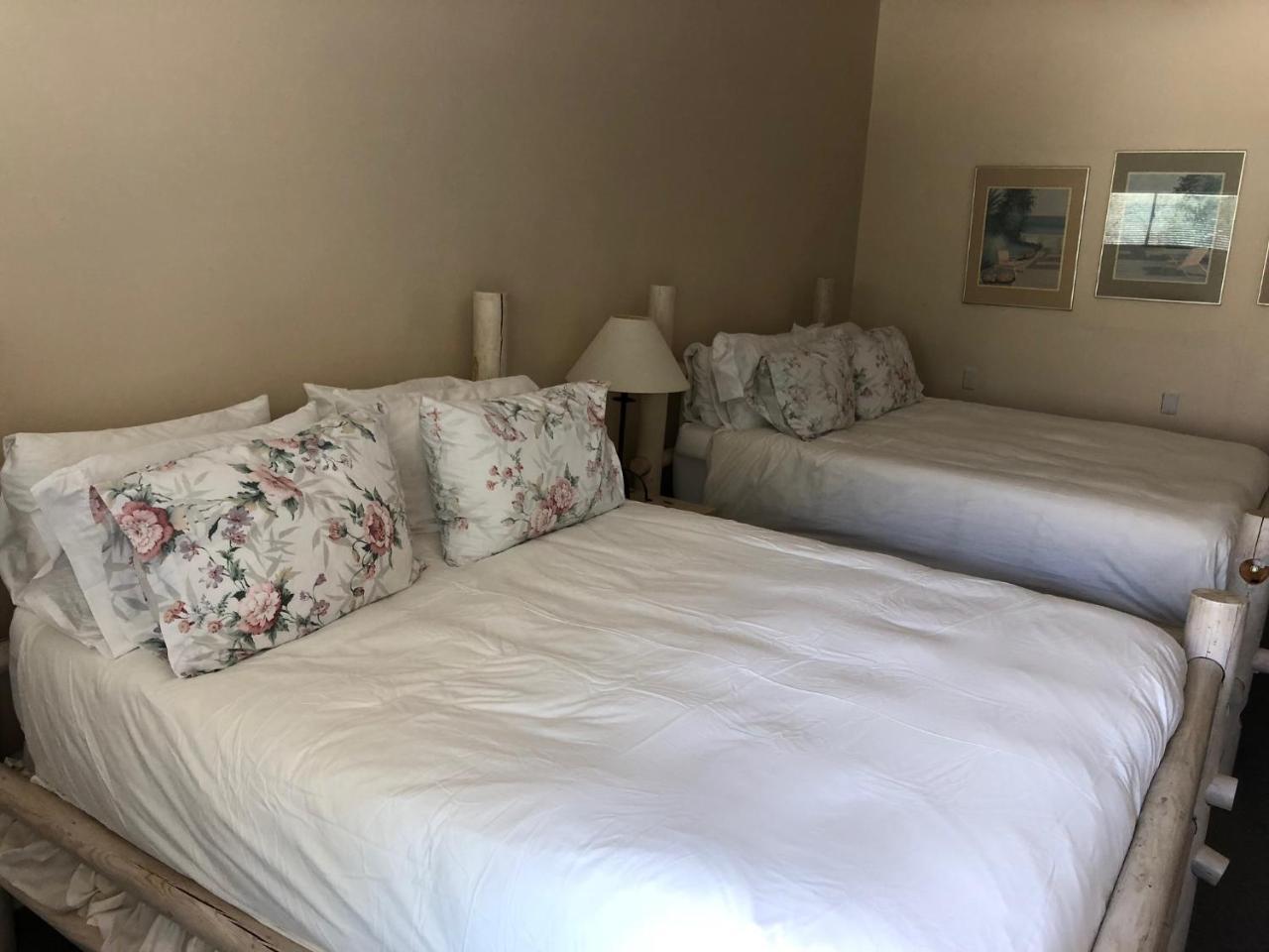 Hotel Palms At Indian Head Borrego Springs Zewnętrze zdjęcie